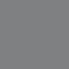 DSF-True-gray-color-swatch-120x120px@2x.png